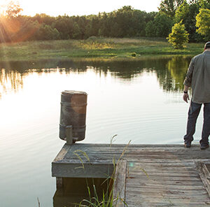 Pond Health for Fish – Spring Physical