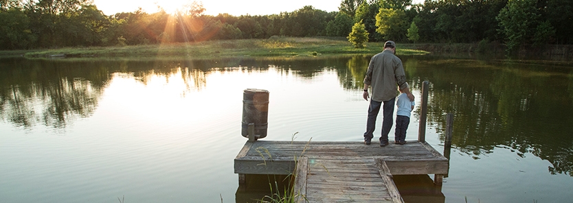 pond-health-for-fish