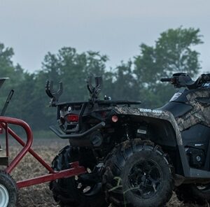 Planting Legumes for Added Nitrogen