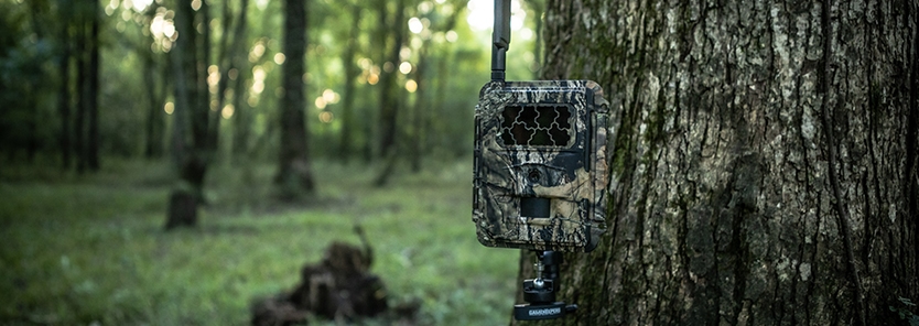 How Trail Cameras for Deer Management