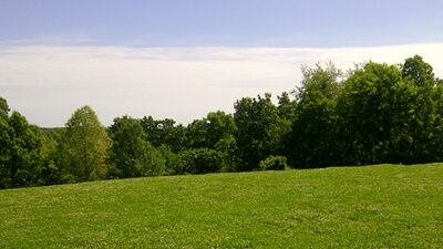 deer-food-plot-weed-control