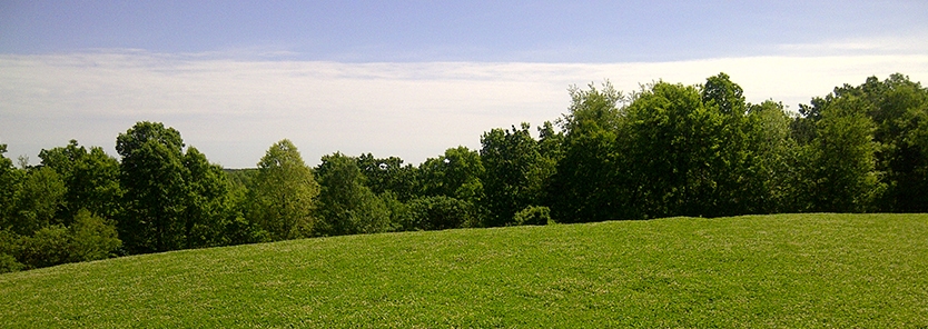 deer-food-plot-weed-control