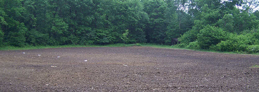 Seed Bed Preparation