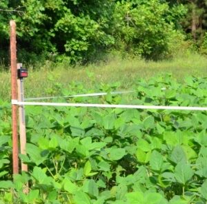 Establishing Spring Food Plots