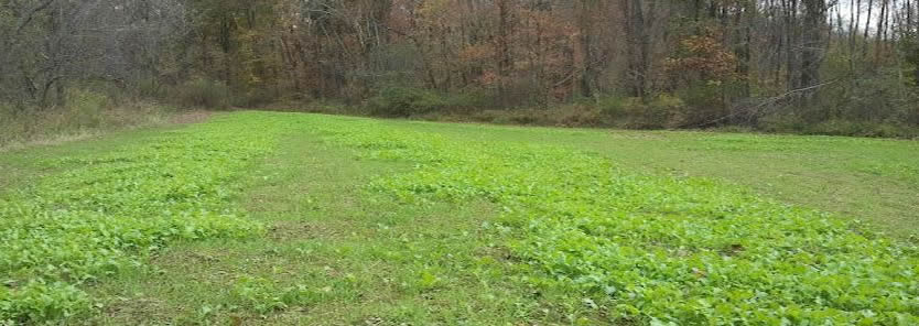 food plot seed distribution