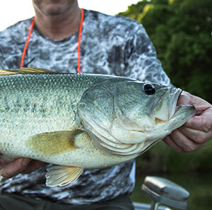 Fishing a Cold Front