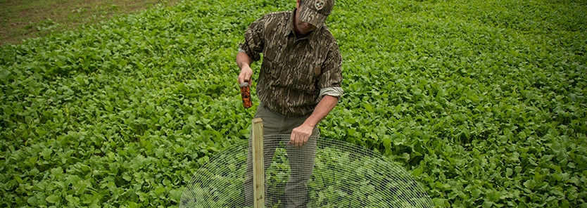 food-plot-utilization-cages