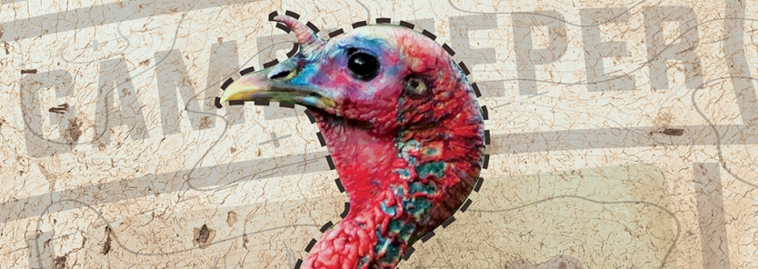 Patterning Your Turkey Gun