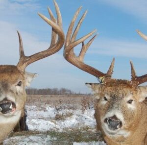 How to Find and Hunt Late Season Bucks