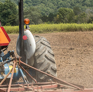 Food Plot Soil Basics