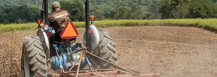 improve-food-plot-soil