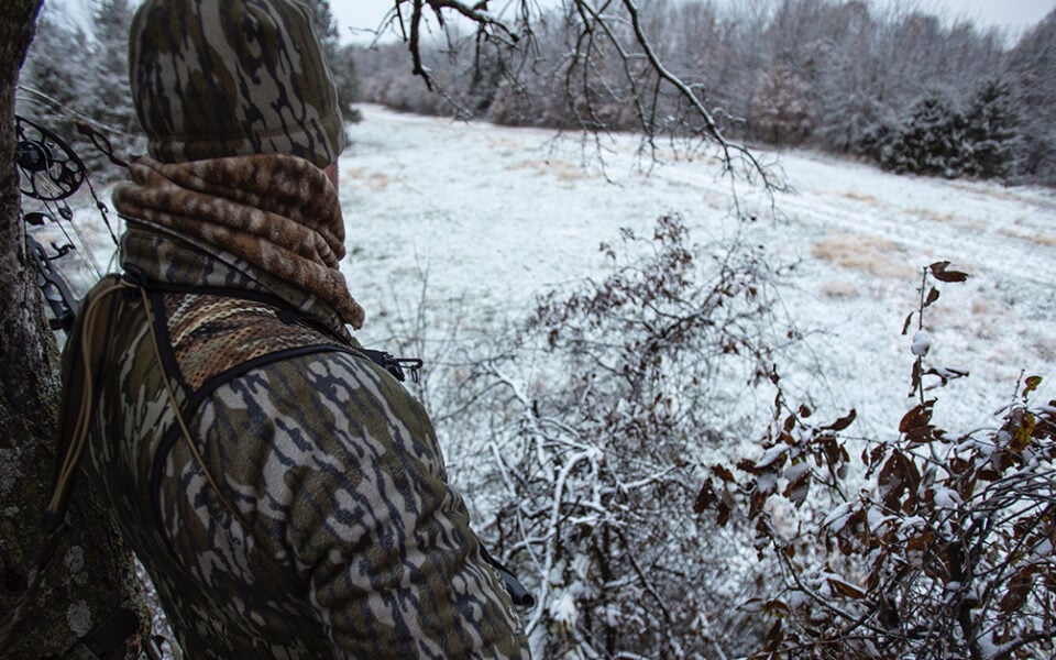 treestand safety