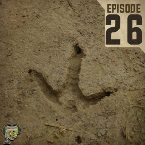 EP:26 | The Legendary Mossy Head Turkey