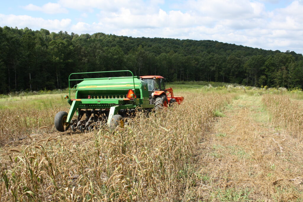 game bird food plot