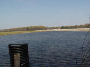 Farm pond