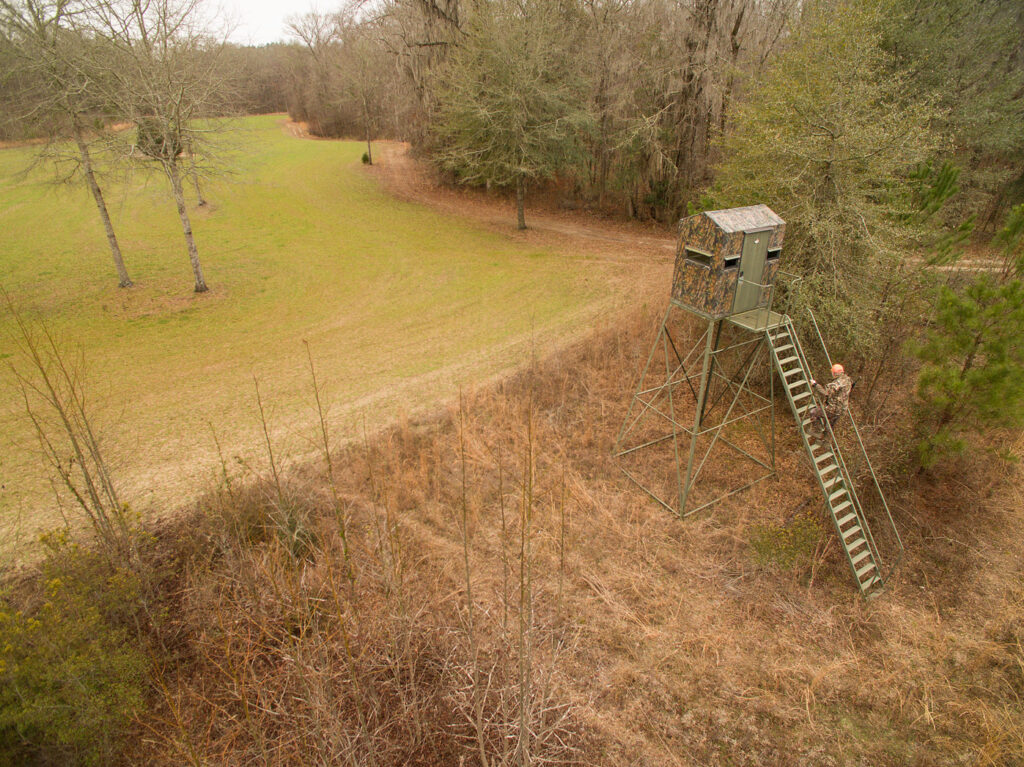 blind-on-food-plot