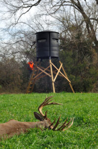 deer-in-front-of-blind