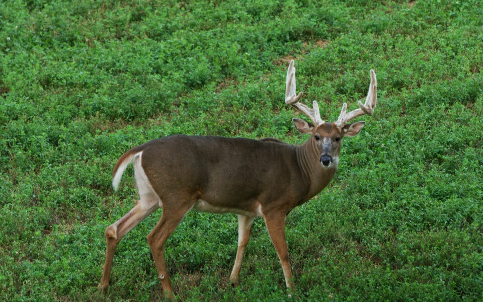 the Gamekeepers of mossy oak tv