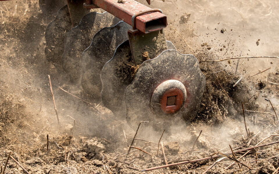 Understanding Your Soil