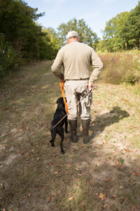 gundog-training-heeling