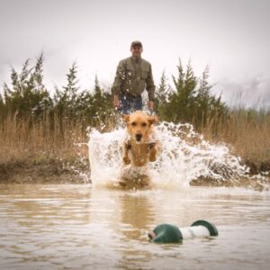 Retriever Training: Correcting Unwanted Movement