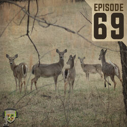 EP:69 | Advanced Doe Management with Dr. Demarais