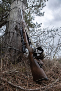 rifle-on-fence