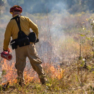 Fire: Nature’s Oldest Management Tool