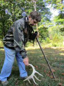 finding-a-deer-antler-shed