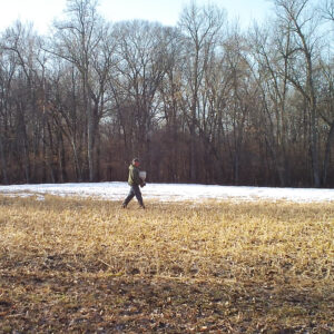 The What, How, & When On Frost Seeding Clover