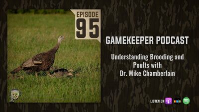 EP:95 | Understanding Brooding and Poults with Dr. Mike Chamberlain