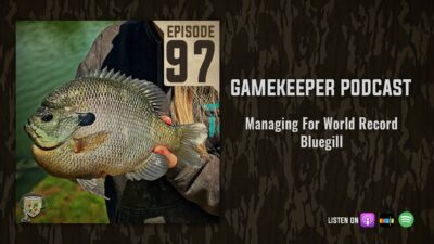 EP:97 | Managing For World Record Bluegill