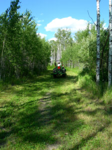 logging-road-plot