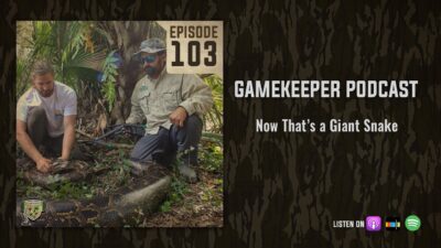 EP:103 | Now That’s a Giant Snake