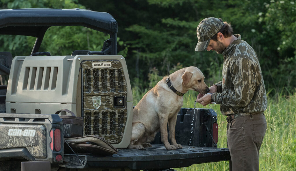 Heat Stress and hypothermia in Hunting Dogs