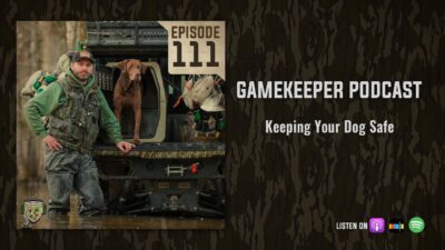 EP:111 | Keeping Your Dog Safe