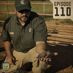 EP:110 | Managing for Doves