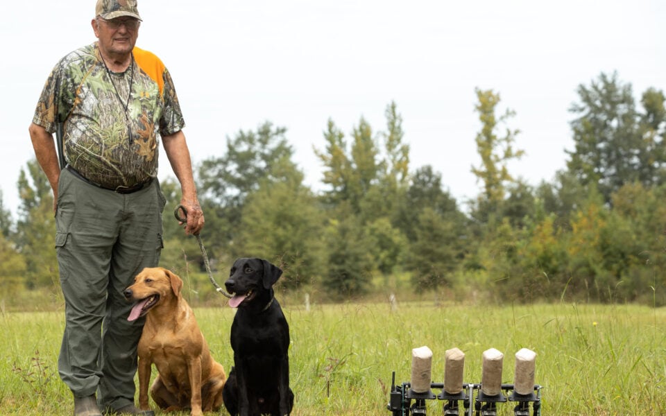 correcting a gun shy dog