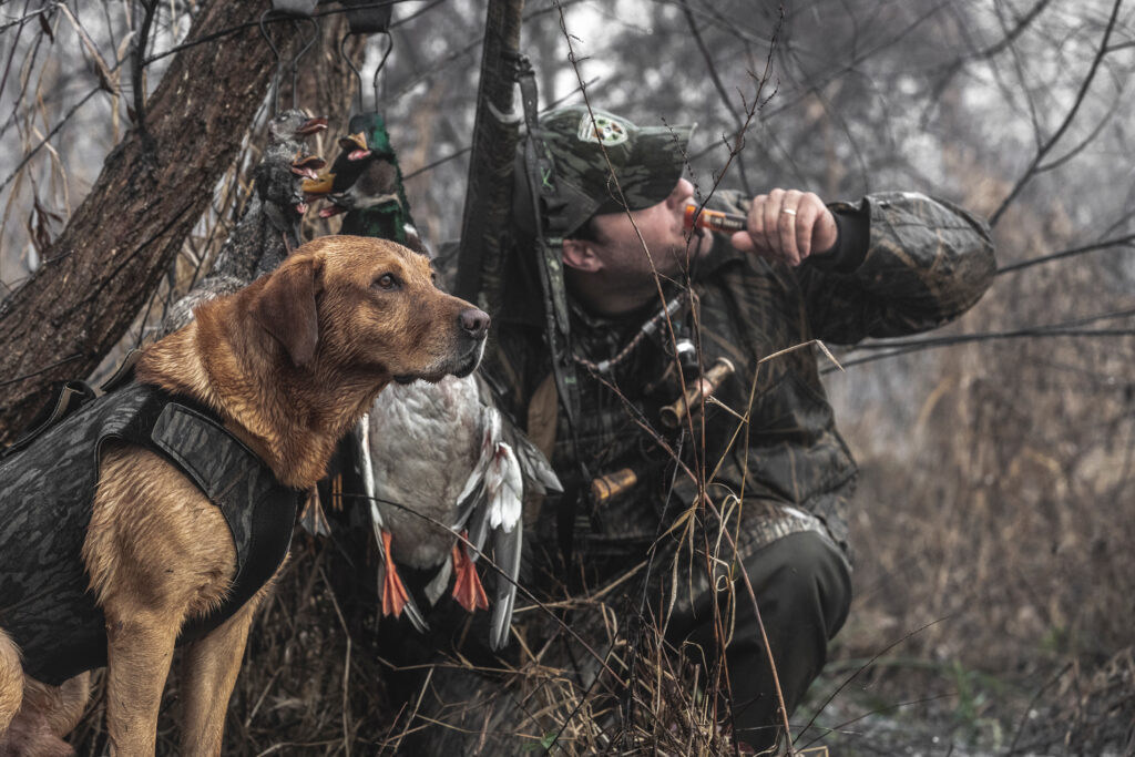 duck hunting with dog