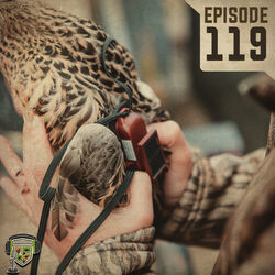 EP:119 | Understanding Duck Migration