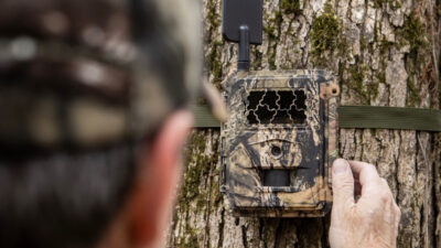 spartan-trail-camera-set-up