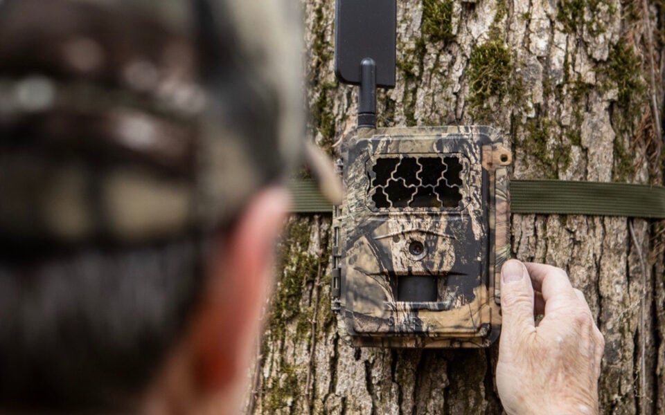 spartan-trail-camera-set-up