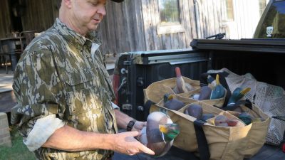 duck decoys