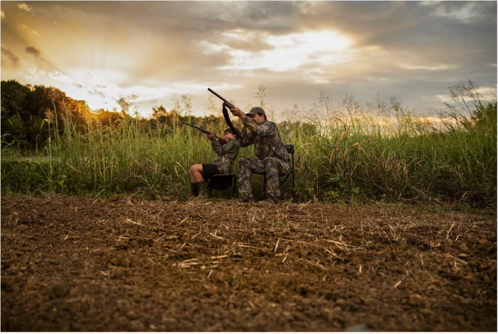 youth hunting on dove field