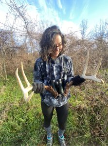 shed hunting