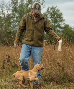 pup-training