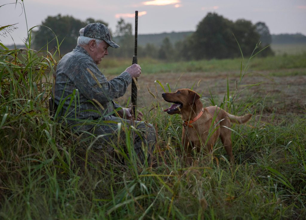 dog hunting