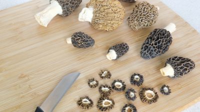 morel-mushrooms