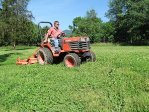 mowing clover