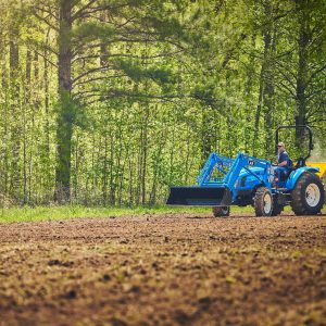 The Best Summer Food Plots for Deer